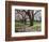 Cherry Trees on University of Washington Campus, Seattle, Washington, USA-Charles Sleicher-Framed Photographic Print