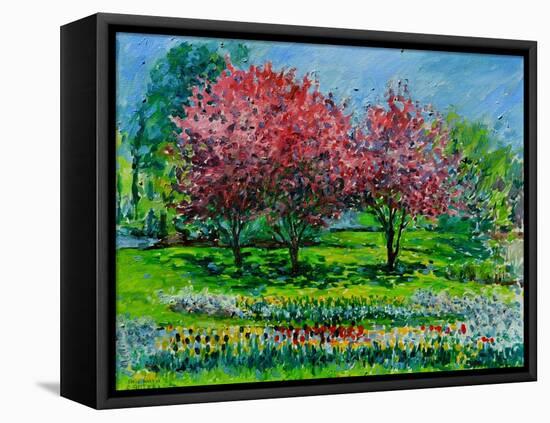 Cherry Trees, Snug Harbor Botanical Garden,2016-Anthony Butera-Framed Premier Image Canvas