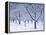 Cherry Trees, Winter, Snow, Detail, Bald, Leafless, Germany, Winter Scenery, Frost, Season-Herbert Kehrer-Framed Premier Image Canvas