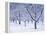 Cherry Trees, Winter, Snow, Detail, Bald, Leafless, Germany, Winter Scenery, Frost, Season-Herbert Kehrer-Framed Premier Image Canvas