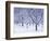 Cherry Trees, Winter, Snow, Detail, Bald, Leafless, Germany, Winter Scenery, Frost, Season-Herbert Kehrer-Framed Photographic Print