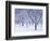 Cherry Trees, Winter, Snow, Detail, Bald, Leafless, Germany, Winter Scenery, Frost, Season-Herbert Kehrer-Framed Photographic Print