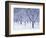 Cherry Trees, Winter, Snow, Detail, Bald, Leafless, Germany, Winter Scenery, Frost, Season-Herbert Kehrer-Framed Photographic Print