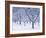 Cherry Trees, Winter, Snow, Detail, Bald, Leafless, Germany, Winter Scenery, Frost, Season-Herbert Kehrer-Framed Photographic Print