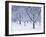 Cherry Trees, Winter, Snow, Detail, Bald, Leafless, Germany, Winter Scenery, Frost, Season-Herbert Kehrer-Framed Photographic Print