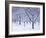 Cherry Trees, Winter, Snow, Detail, Bald, Leafless, Germany, Winter Scenery, Frost, Season-Herbert Kehrer-Framed Photographic Print