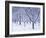 Cherry Trees, Winter, Snow, Detail, Bald, Leafless, Germany, Winter Scenery, Frost, Season-Herbert Kehrer-Framed Photographic Print