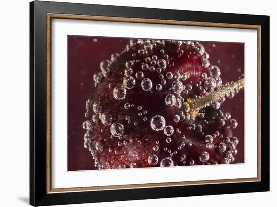 Cherry Underwater-Gordon Semmens-Framed Photographic Print