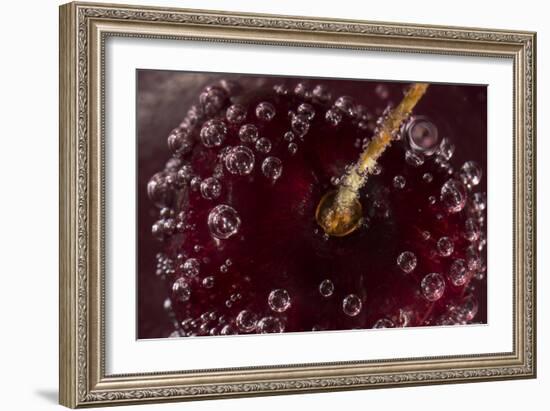 Cherry Underwater-Gordon Semmens-Framed Photographic Print