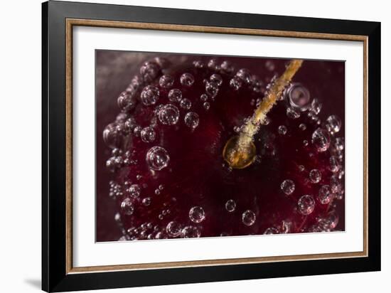 Cherry Underwater-Gordon Semmens-Framed Photographic Print