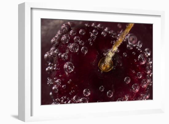 Cherry Underwater-Gordon Semmens-Framed Photographic Print