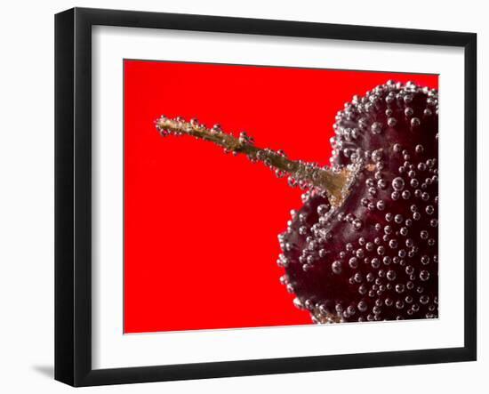 Cherry Underwater-Gordon Semmens-Framed Photographic Print