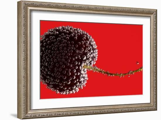 Cherry Underwater-Gordon Semmens-Framed Photographic Print