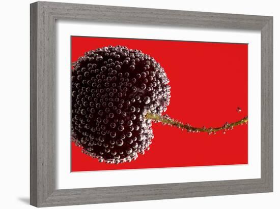 Cherry Underwater-Gordon Semmens-Framed Photographic Print