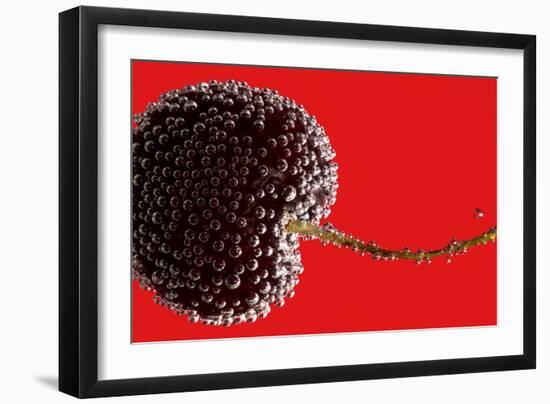 Cherry Underwater-Gordon Semmens-Framed Photographic Print