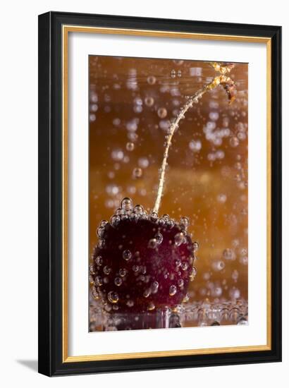 Cherry Underwater-Gordon Semmens-Framed Photographic Print