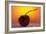 Cherry Underwater-Gordon Semmens-Framed Photographic Print