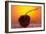 Cherry Underwater-Gordon Semmens-Framed Photographic Print