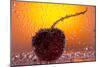 Cherry Underwater-Gordon Semmens-Mounted Photographic Print