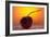 Cherry Underwater-Gordon Semmens-Framed Photographic Print