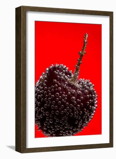 Cherry Underwater-Gordon Semmens-Framed Photographic Print