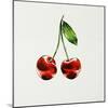 Cherry-Sydney Edmunds-Mounted Giclee Print