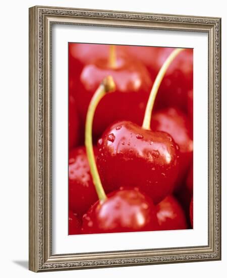 Cherrys-Herbert Kehrer-Framed Photographic Print