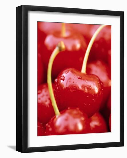 Cherrys-Herbert Kehrer-Framed Photographic Print