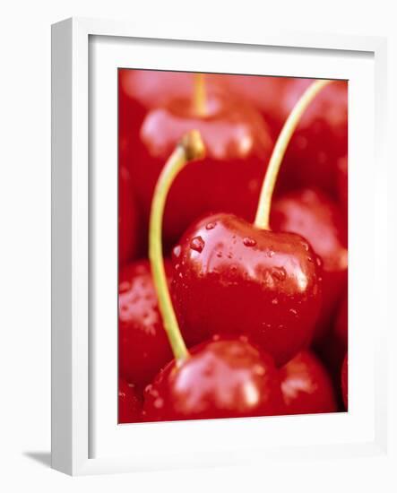 Cherrys-Herbert Kehrer-Framed Photographic Print