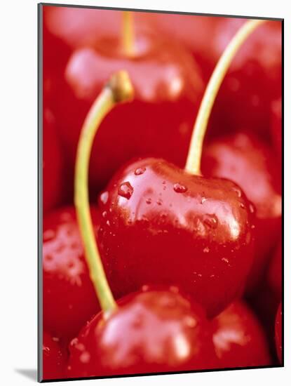 Cherrys-Herbert Kehrer-Mounted Photographic Print