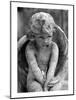 Cherub Statue-Charles Glover-Mounted Giclee Print