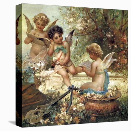 Stretched Canvas Print, , large