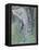 Cherubin-Amedeo Modigliani-Framed Premier Image Canvas