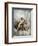 Cherubs in the Clouds-Charles Lutyens-Framed Premium Giclee Print