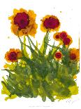 Sunlit Poppies III-Cheryl Baynes-Art Print