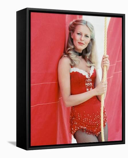 Cheryl Ladd - Charlie's Angels-null-Framed Stretched Canvas