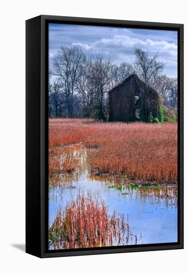 Chesapeake Barn-Steven Maxx-Framed Premier Image Canvas