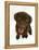 Chesapeake Bay Retriever Dog Pup, 'Teague', 9 Weeks Old Looking Up-Jane Burton-Framed Premier Image Canvas