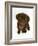 Chesapeake Bay Retriever Dog Pup, 'Teague', 9 Weeks Old Looking Up-Jane Burton-Framed Photographic Print