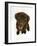 Chesapeake Bay Retriever Dog Pup, 'Teague', 9 Weeks Old Looking Up-Jane Burton-Framed Photographic Print