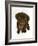 Chesapeake Bay Retriever Dog Pup, 'Teague', 9 Weeks Old Looking Up-Jane Burton-Framed Photographic Print