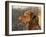 Chesapeake Bay Retriever Dog, USA-Lynn M. Stone-Framed Photographic Print