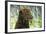 Chesapeake Bay Retriever in Forget Me Nots (Head Shot)-null-Framed Photographic Print
