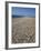 Chesil Bank, Dorset, England, United Kingdom, Europe-Pate Jenny-Framed Photographic Print