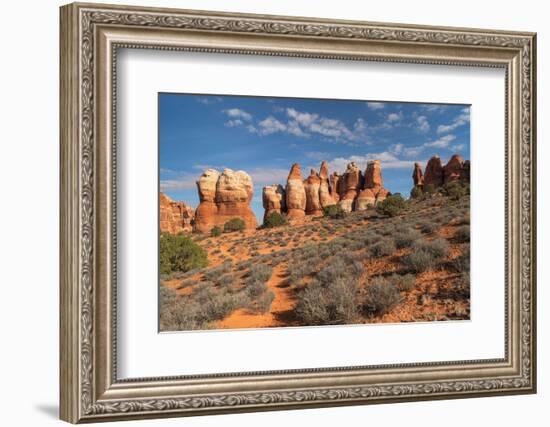 Chesler Park Canyonlands National Park, Utah-Alan Majchrowicz-Framed Photographic Print