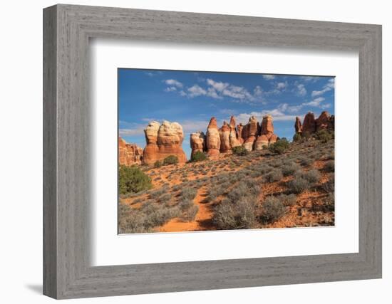 Chesler Park Canyonlands National Park, Utah-Alan Majchrowicz-Framed Photographic Print