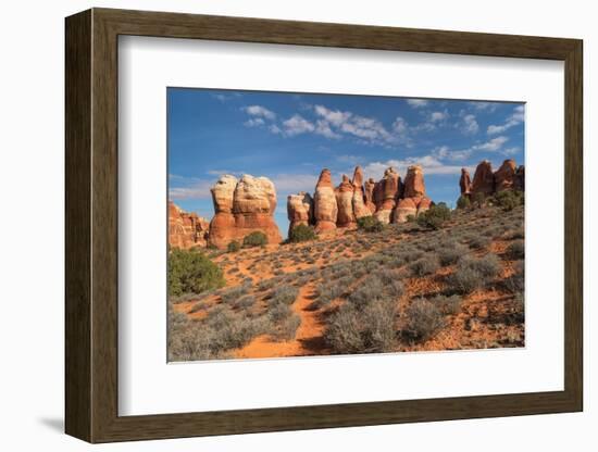 Chesler Park Canyonlands National Park, Utah-Alan Majchrowicz-Framed Photographic Print