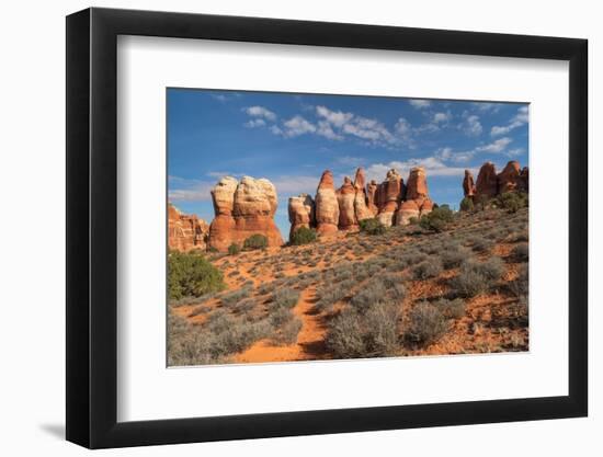 Chesler Park Canyonlands National Park, Utah-Alan Majchrowicz-Framed Photographic Print