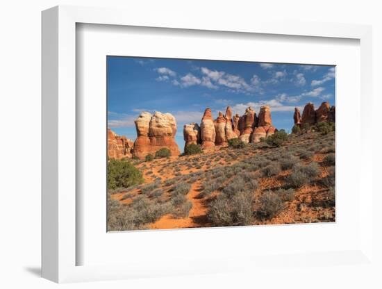 Chesler Park Canyonlands National Park, Utah-Alan Majchrowicz-Framed Photographic Print