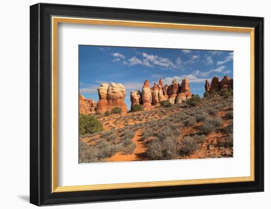 Chesler Park Canyonlands National Park, Utah-Alan Majchrowicz-Framed Photographic Print